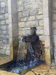 470179196 122172682436048811 368198877689535271 n