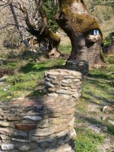 470198274 122172682412048811 8488233834823852887 n