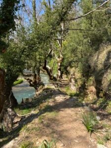 470211955 122172521594048811 3746726778139075652 n