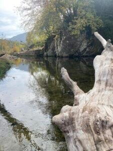 471312180 122173251470048811 1990063205338317369 n