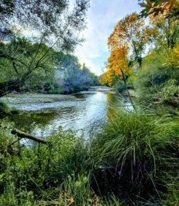 473389498 122175980300048811 5808893836379277948 n