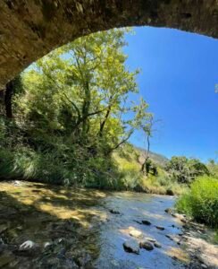 525597100 122199633314048811 7965816917470162981 n